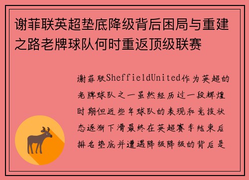 谢菲联英超垫底降级背后困局与重建之路老牌球队何时重返顶级联赛